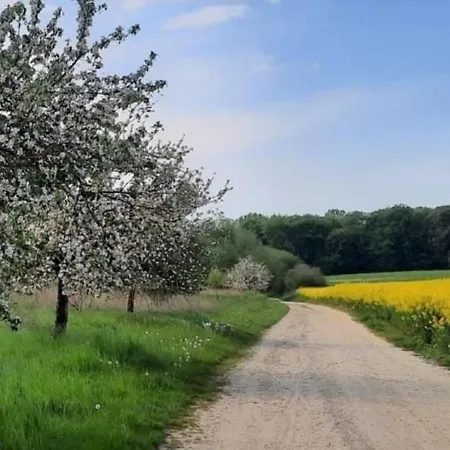Appartamento Seeblick Ratzeburg